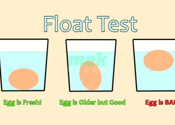 Signs Your Eggs Are No Longer Fresh and Safe to Eat