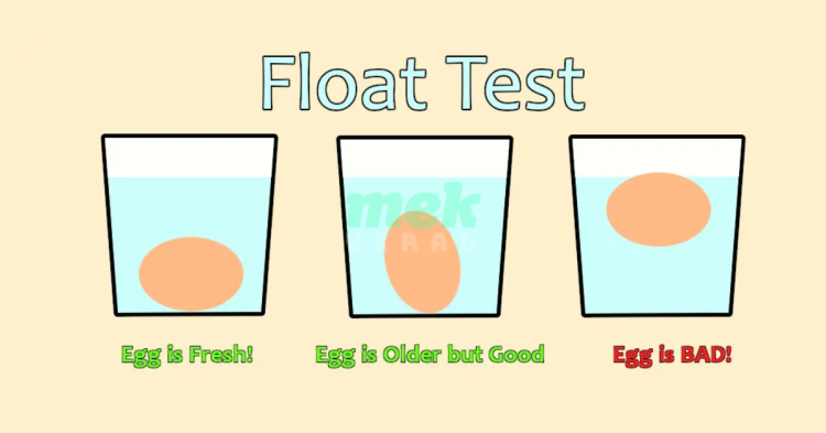 Signs Your Eggs Are No Longer Fresh and Safe to Eat