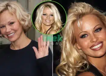 pamela anderson comeback