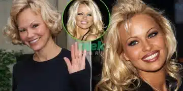 pamela anderson comeback