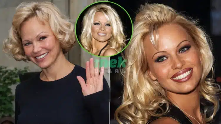 pamela anderson comeback
