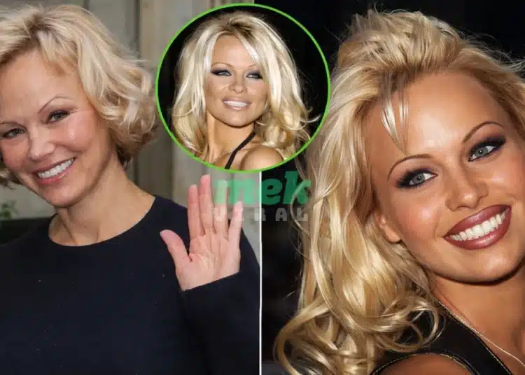 pamela anderson comeback